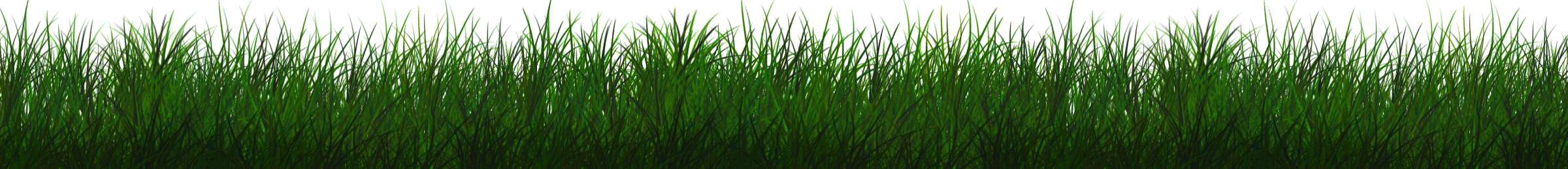 gras